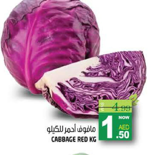 Cabbage available at هاشم هايبرماركت in الإمارات العربية المتحدة , الامارات - الشارقة / عجمان