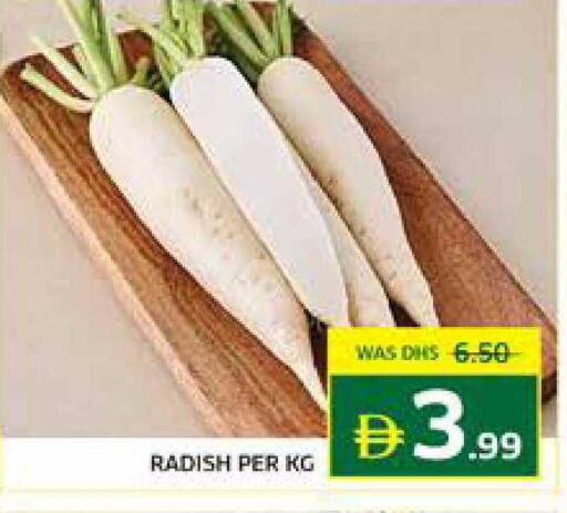 Radish available at Seven Emirates Supermarket in UAE - Abu Dhabi