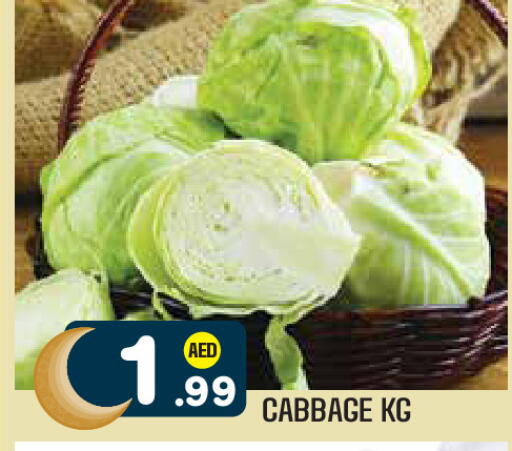 Cabbage available at Baniyas Spike  in UAE - Al Ain