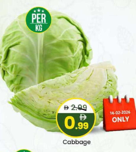 Cabbage available at مارك & سيف in الإمارات العربية المتحدة , الامارات - الشارقة / عجمان