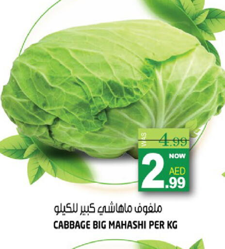 Cabbage available at هاشم هايبرماركت in الإمارات العربية المتحدة , الامارات - الشارقة / عجمان