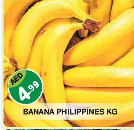 Banana from Philippines available at Baniyas Spike  in UAE - Abu Dhabi