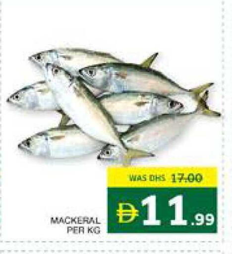 available at Seven Emirates Supermarket in UAE - Abu Dhabi