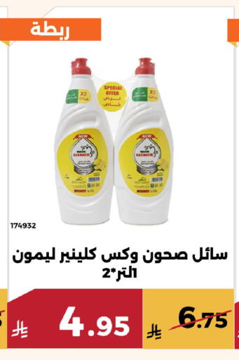 available at Forat Garden in KSA, Saudi Arabia, Saudi - Mecca