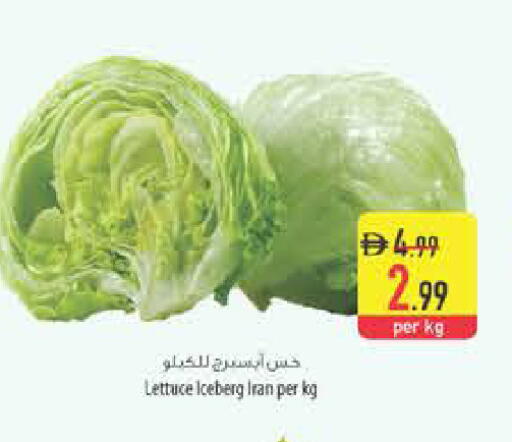 Lettuce from Iran available at Safeer Market in UAE - Ras al Khaimah