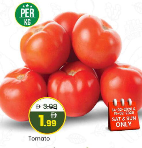 Tomato available at مارك & سيف in الإمارات العربية المتحدة , الامارات - الشارقة / عجمان