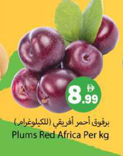 Plums available at Gulf Hypermarket LLC in UAE - Ras al Khaimah