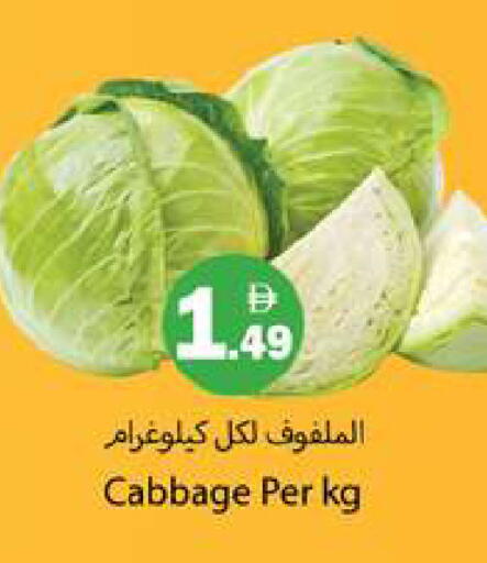 Cabbage available at Gulf Hypermarket LLC in UAE - Ras al Khaimah