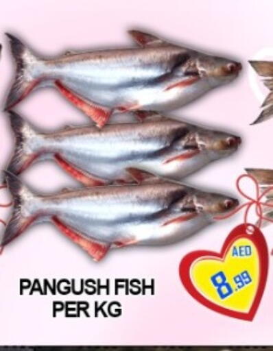 available at جرين جيفت متجر أقسام in الإمارات العربية المتحدة , الامارات - دبي