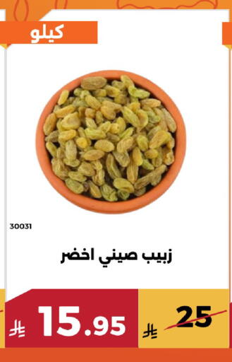 available at Forat Garden in KSA, Saudi Arabia, Saudi - Mecca
