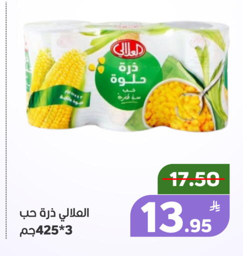 Apple available at Green Apple Market in KSA, Saudi Arabia, Saudi - Al Hasa