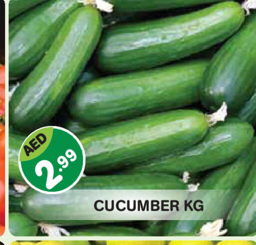 Cucumber available at Baniyas Spike  in UAE - Abu Dhabi