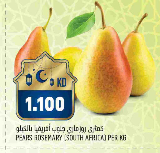 Rosemary from South Africa available at Oncost in Kuwait - Kuwait City