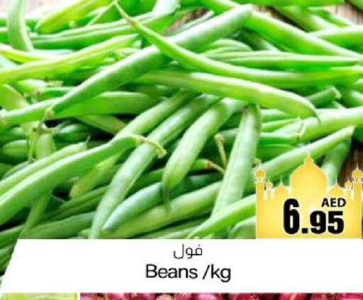 available at Meem Sajidha in UAE - Fujairah