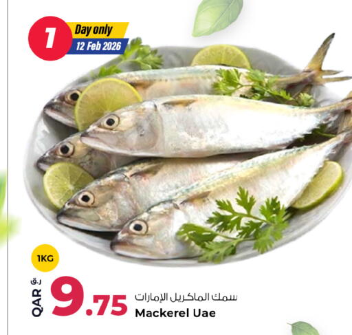 available at روابي هايبرماركت in قطر - الريان