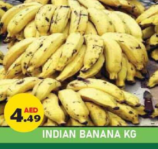 Banana from India available at Baniyas Spike  in UAE - Ras al Khaimah