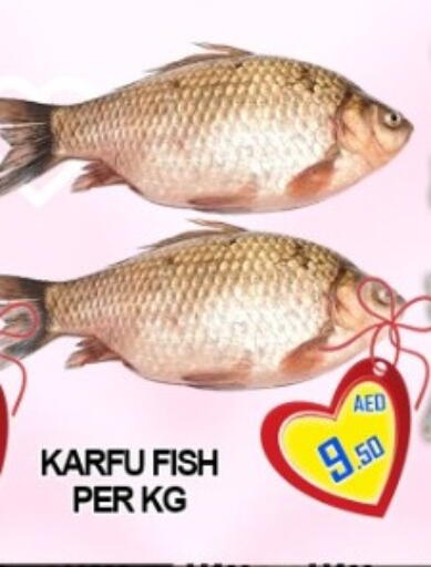 available at جرين جيفت متجر أقسام in الإمارات العربية المتحدة , الامارات - دبي