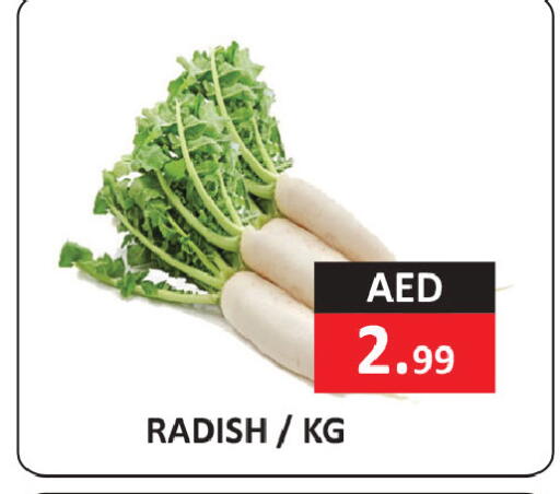 Radish available at  RIVIERA SUPERMARKET L.L.C in UAE - Abu Dhabi