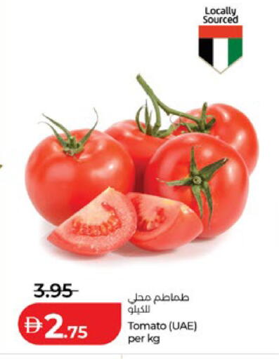 Tomato available at لولو هايبرماركت in الإمارات العربية المتحدة , الامارات - رَأْس ٱلْخَيْمَة