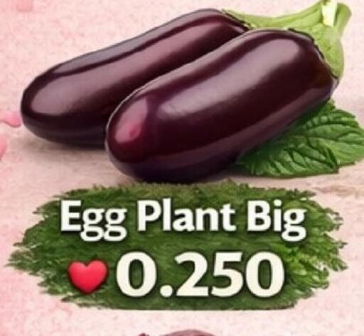 available at Hassan Mahmood Group in Bahrain