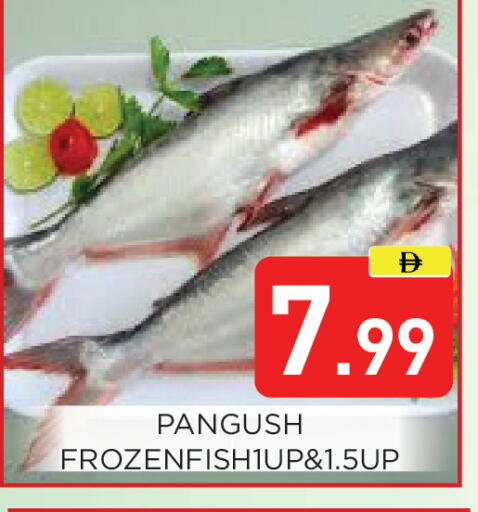 available at Ain Al Madina Hypermarket in UAE - Sharjah / Ajman