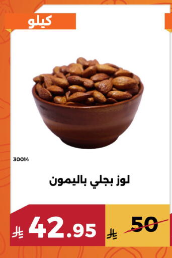 available at Forat Garden in KSA, Saudi Arabia, Saudi - Mecca