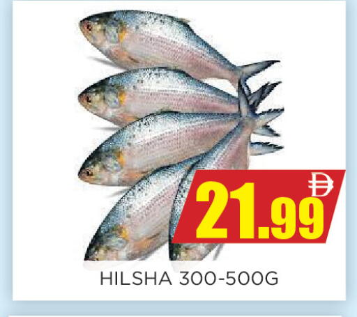 available at Ainas Al madina hypermarket in UAE - Sharjah / Ajman