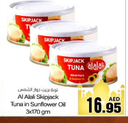 available at Meem Sajidha in UAE - Fujairah