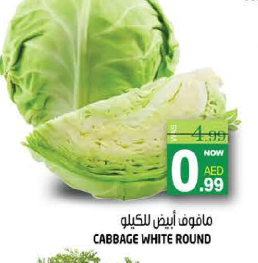 Cabbage available at هاشم هايبرماركت in الإمارات العربية المتحدة , الامارات - الشارقة / عجمان