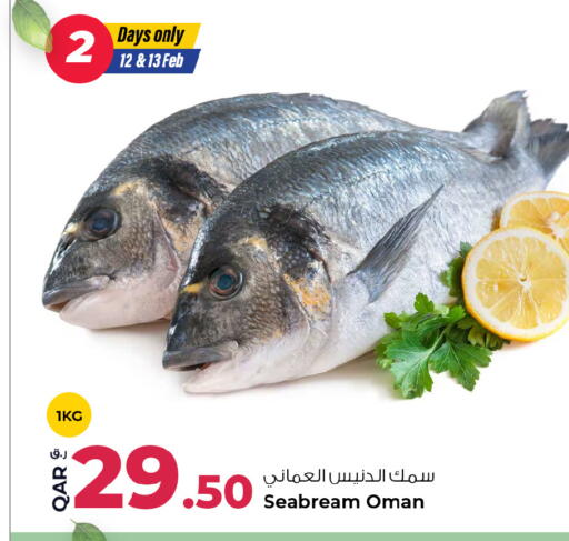 available at روابي هايبرماركت in قطر - الريان