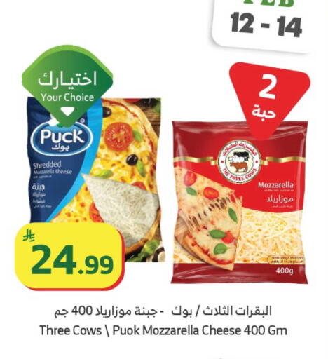 available at الراية in مملكة العربية السعودية, السعودية, سعودية - خميس مشيط