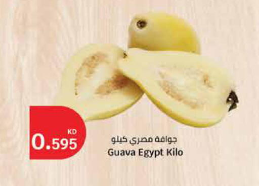 Guava from Egypt available at City Hypermarket in Kuwait - Ahmadi Governorate