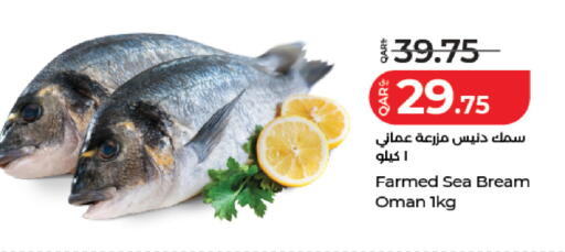 available at لولو هايبرماركت in قطر - الريان