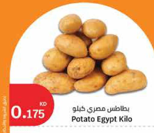 Potato from Egypt available at City Hypermarket in Kuwait - Kuwait City