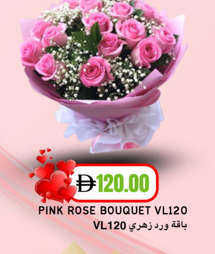 available at سيليكت ماركت in الإمارات العربية المتحدة , الامارات - أبو ظبي