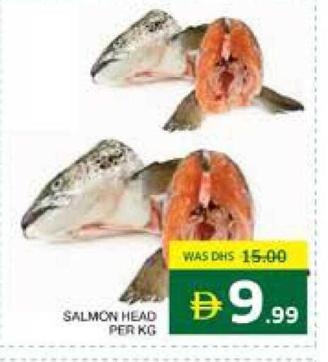 available at Seven Emirates Supermarket in UAE - Abu Dhabi