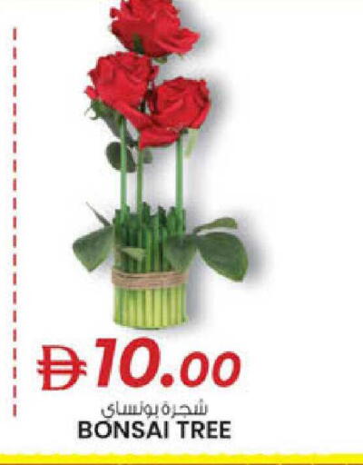 available at ك. الم. للتجارة in الإمارات العربية المتحدة , الامارات - دبي