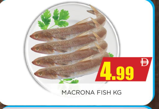 available at Ainas Al madina hypermarket in UAE - Sharjah / Ajman