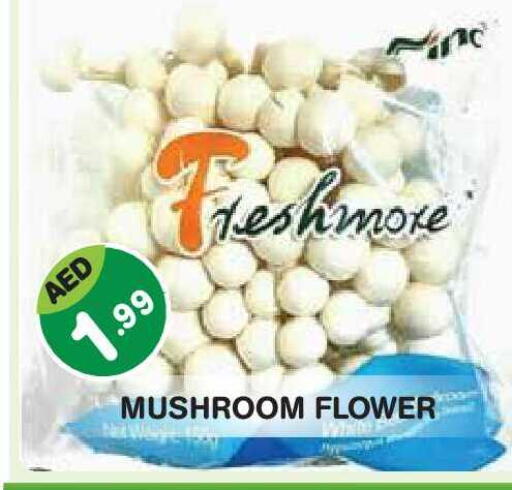 Mushroom available at Baniyas Spike  in UAE - Abu Dhabi