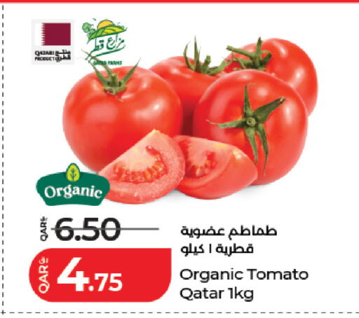 Tomato from Qatar available at لولو هايبرماركت in قطر - الدوحة