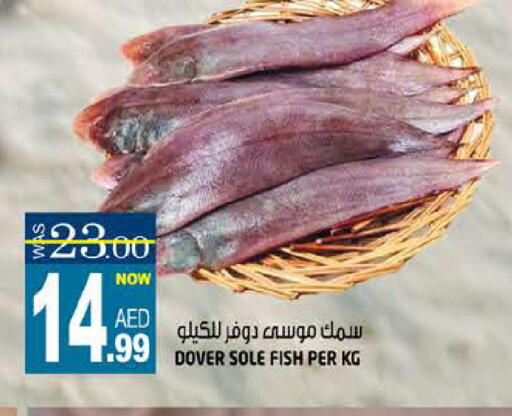 available at هاشم هايبرماركت in الإمارات العربية المتحدة , الامارات - الشارقة / عجمان