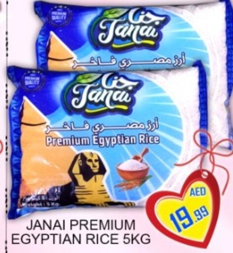 available at جرين جيفت متجر أقسام in الإمارات العربية المتحدة , الامارات - دبي