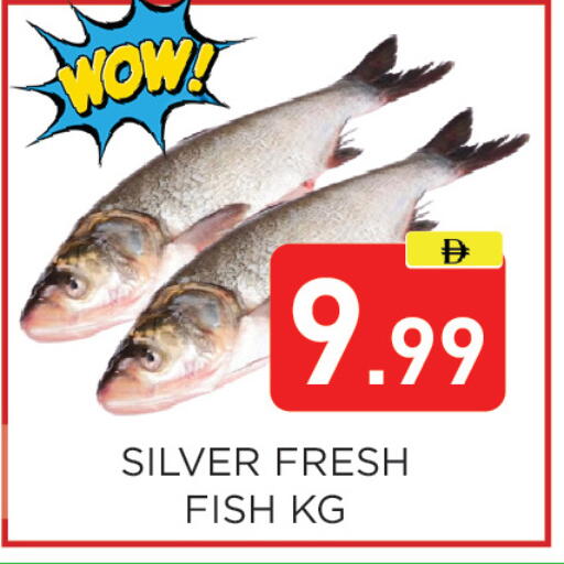 available at Ain Al Madina Hypermarket in UAE - Sharjah / Ajman