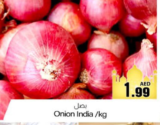 Onion from India available at Meem Sajidha in UAE - Fujairah