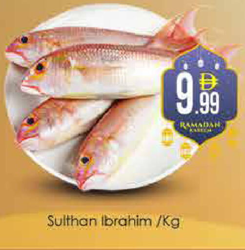 available at ايكو مول & ايكو هايبرماركت in الإمارات العربية المتحدة , الامارات - دبي