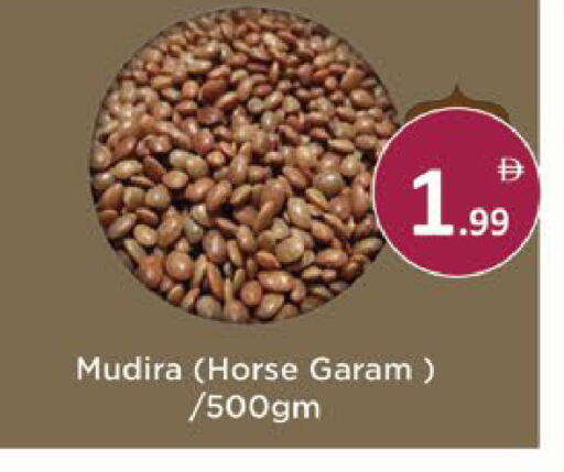 available at ايكو مول & ايكو هايبرماركت in الإمارات العربية المتحدة , الامارات - ٱلْعَيْن‎