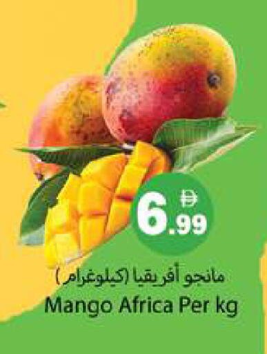 Mango available at Gulf Hypermarket LLC in UAE - Ras al Khaimah