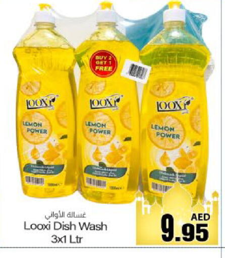 Lemon available at Meem Sajidha in UAE - Fujairah