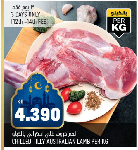 available at Oncost in Kuwait - Ahmadi Governorate