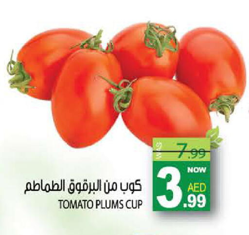 Plums Tomato available at هاشم هايبرماركت in الإمارات العربية المتحدة , الامارات - الشارقة / عجمان
